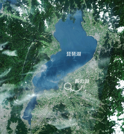 琵琶湖と西の湖