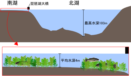 琵琶湖の断面図