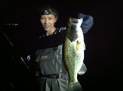 琵琶湖夜釣り
