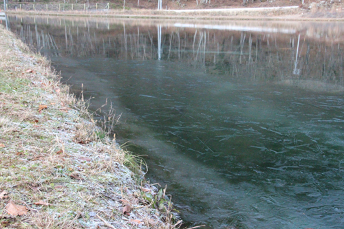 凍った池
