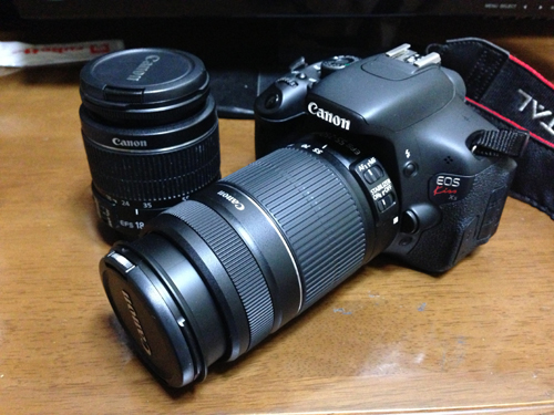 Canon EFレンズ EF-S55-250mm F4-5.6 IS II